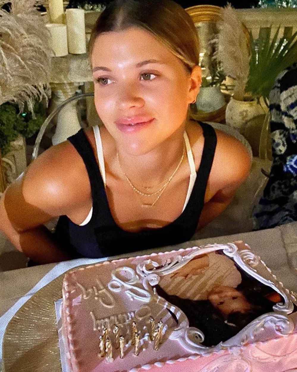 Lionel Richie Bakes a Pink Cake for Daughter Sofia's 22nd Birthday 3