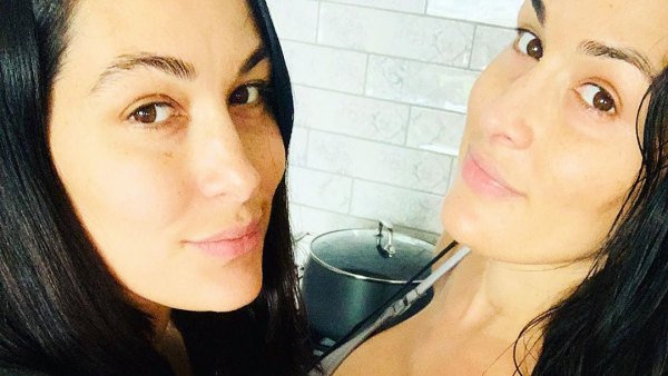 Nikki Bella and Brie Bella Share Selfie 2 Weeks Postpartum After Sons Births