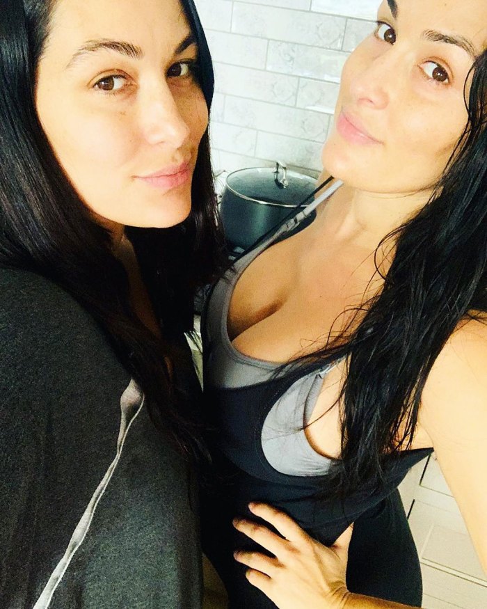 Nikki Bella and Brie Bella Share Selfie 2 Weeks Postpartum After Sons Births