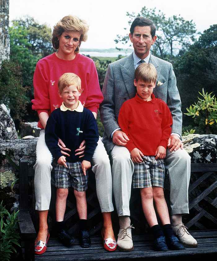Princess Diana and Prince Charles with Prince Harry and Prince William in 1989 Princess Diana Would Have Made William and Harry Fix Their Issues