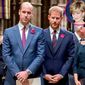Prince William Harry Issue Joint Statement to Honor Mom Princess Diana 2