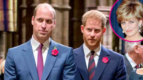 Prince William Harry Issue Joint Statement to Honor Mom Princess Diana 2