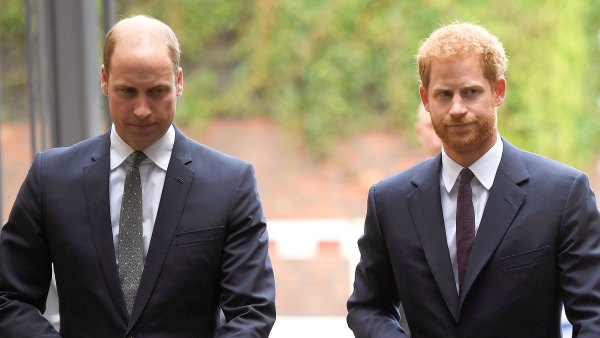 Prince William and Prince Harry Barely Speak