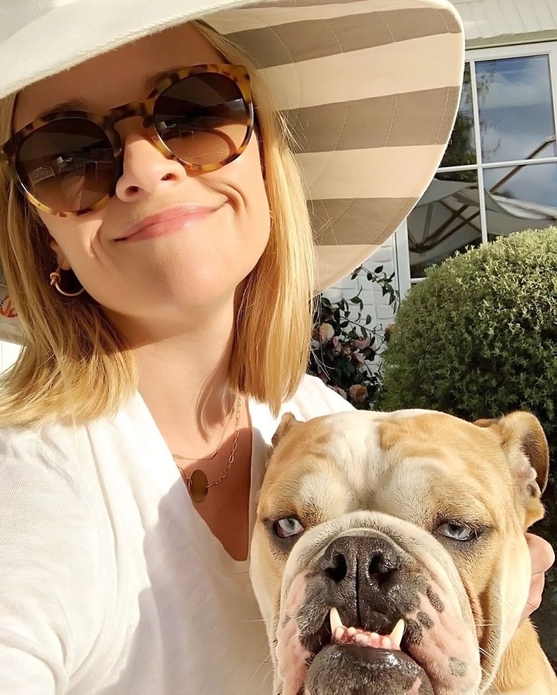 Reese Witherspoon Pupdates Are What Every Dog Lover Needs See Bulldog Blue