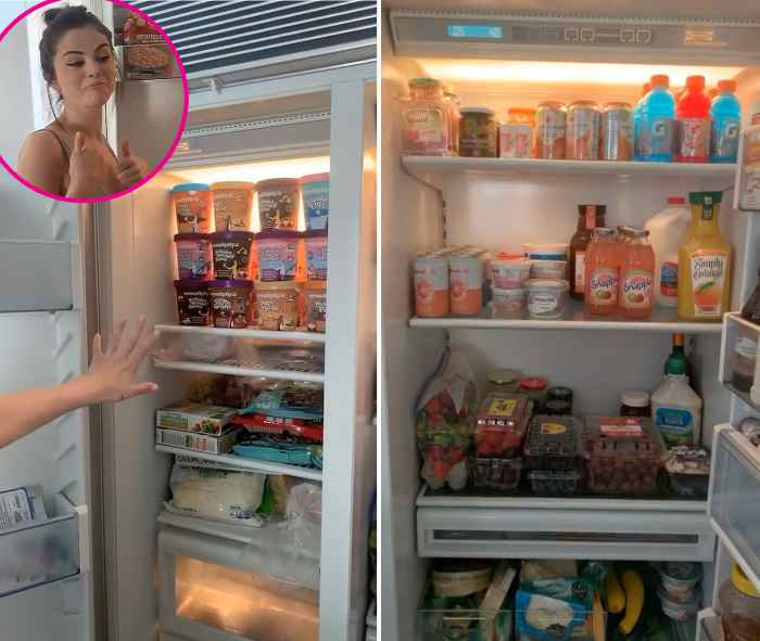 Selena Gomez Shares a Peek Inside Her Refrigerator and Freezer