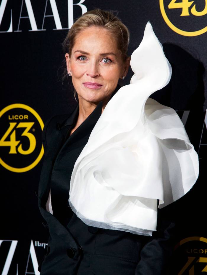 Sharon Stone Blames ‘Non-Mask Wearers’ After Sister ‘Who Already Has Lupus’ Is Hospitalized With Coronavirus