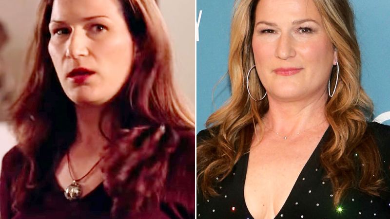02 Ana Gasteyer Mean Girls Cast Where Are They Now