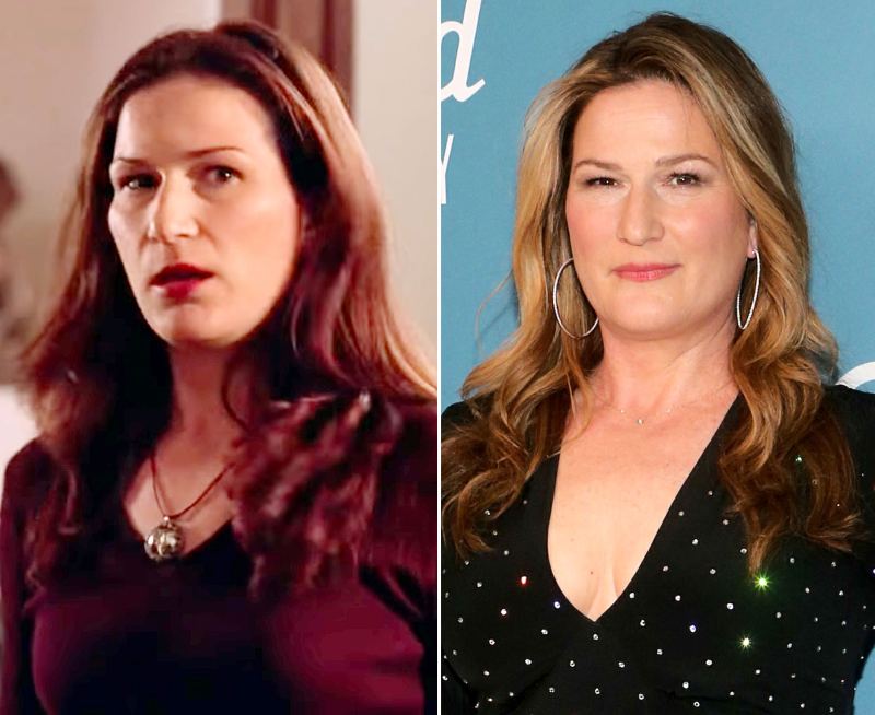 Ana Gasteyer Mean Girls Cast Where Are They Now