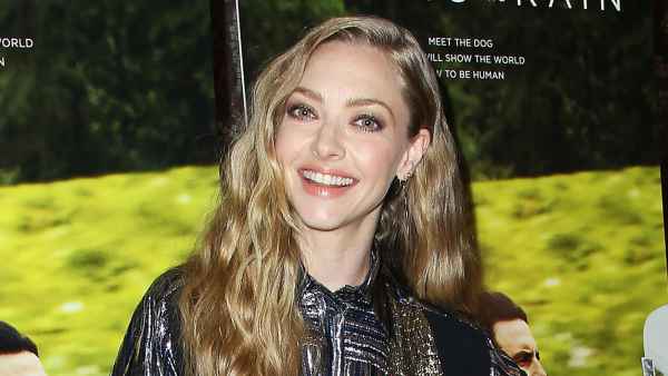 Amanda Seyfried Shares Throwback Baby Bump Photo After Secretly Giving Birth