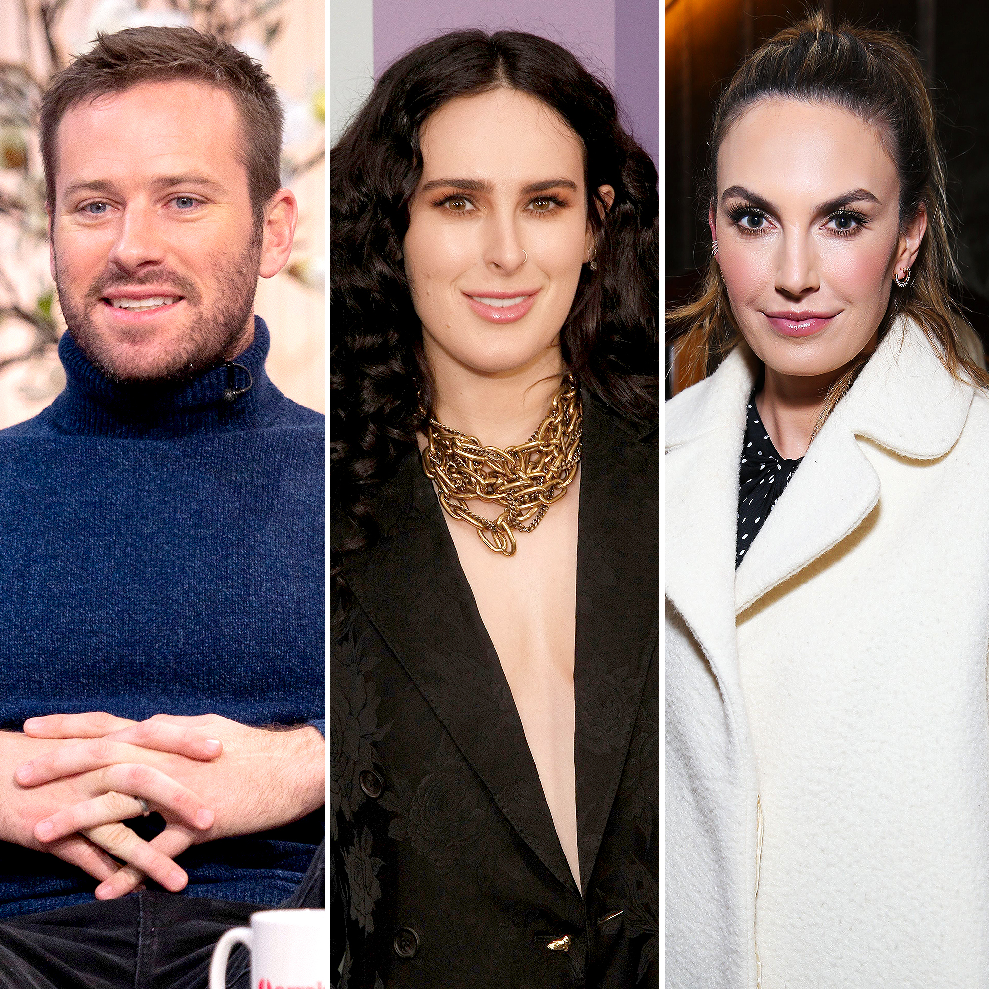 Armie Hammer Seen With Rumer Willis Amid Elizabeth Chambers Divorce