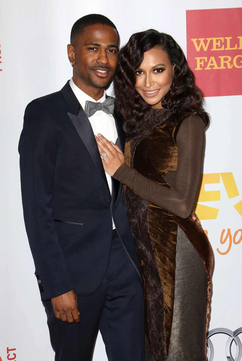 Big Sean and Naya Rivera Celebrity Couples Who Cut Their Engagements Short