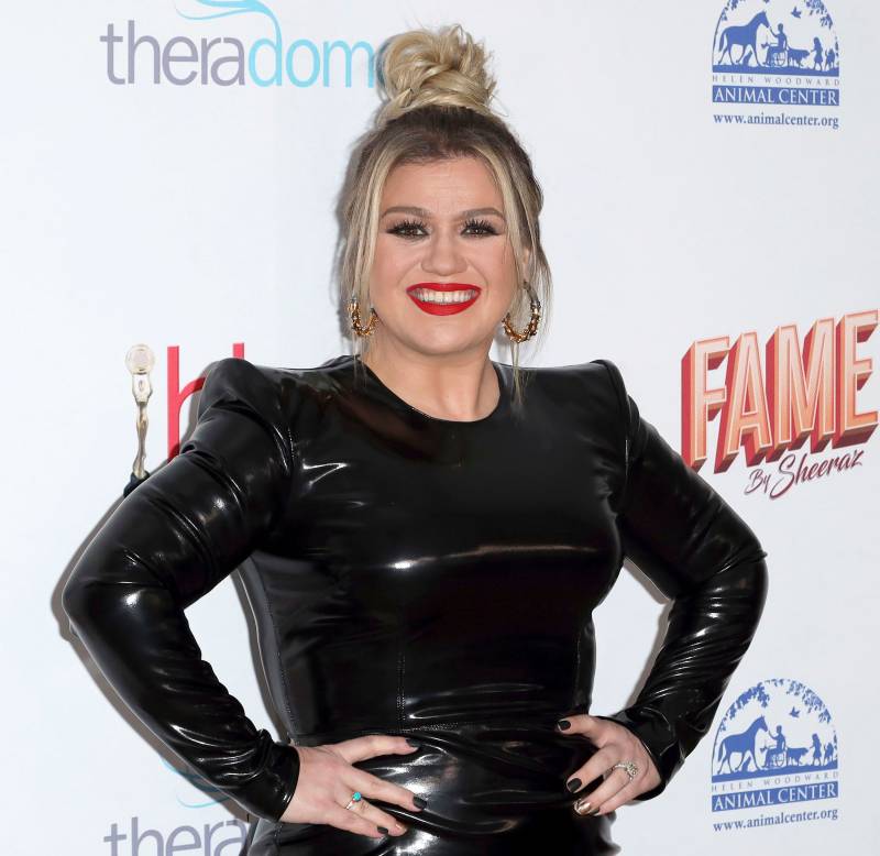 Everything Kelly Clarkson Has Said About Her Split From Brandon Blackstock