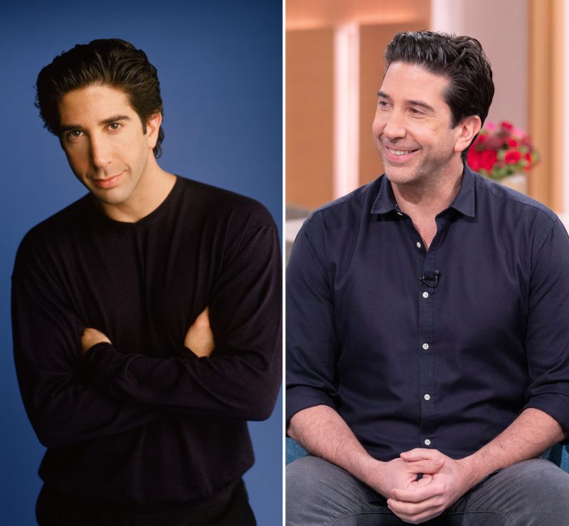 Friends Where Are They Now David Schwimmer