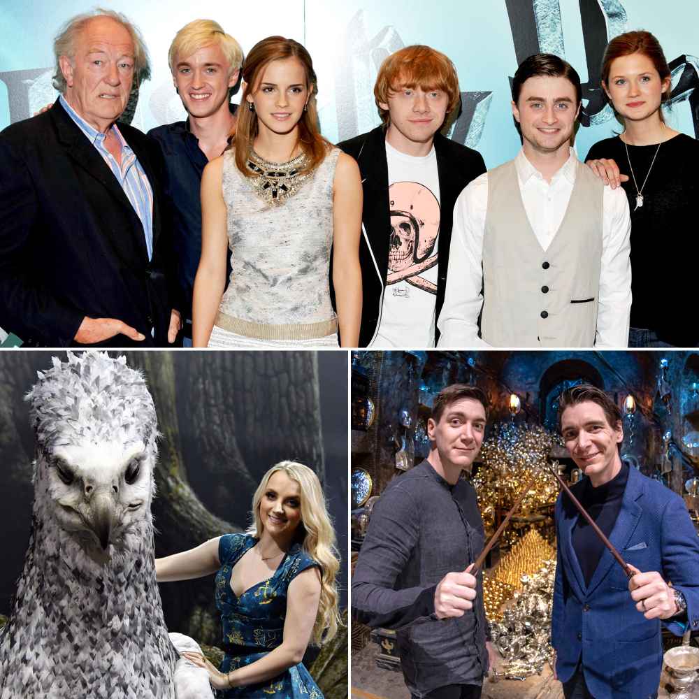 Harry Potter' Stars: Where Are They Now?