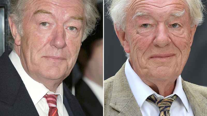 Harry Potter Stars Where Are They Now Michael Gambon