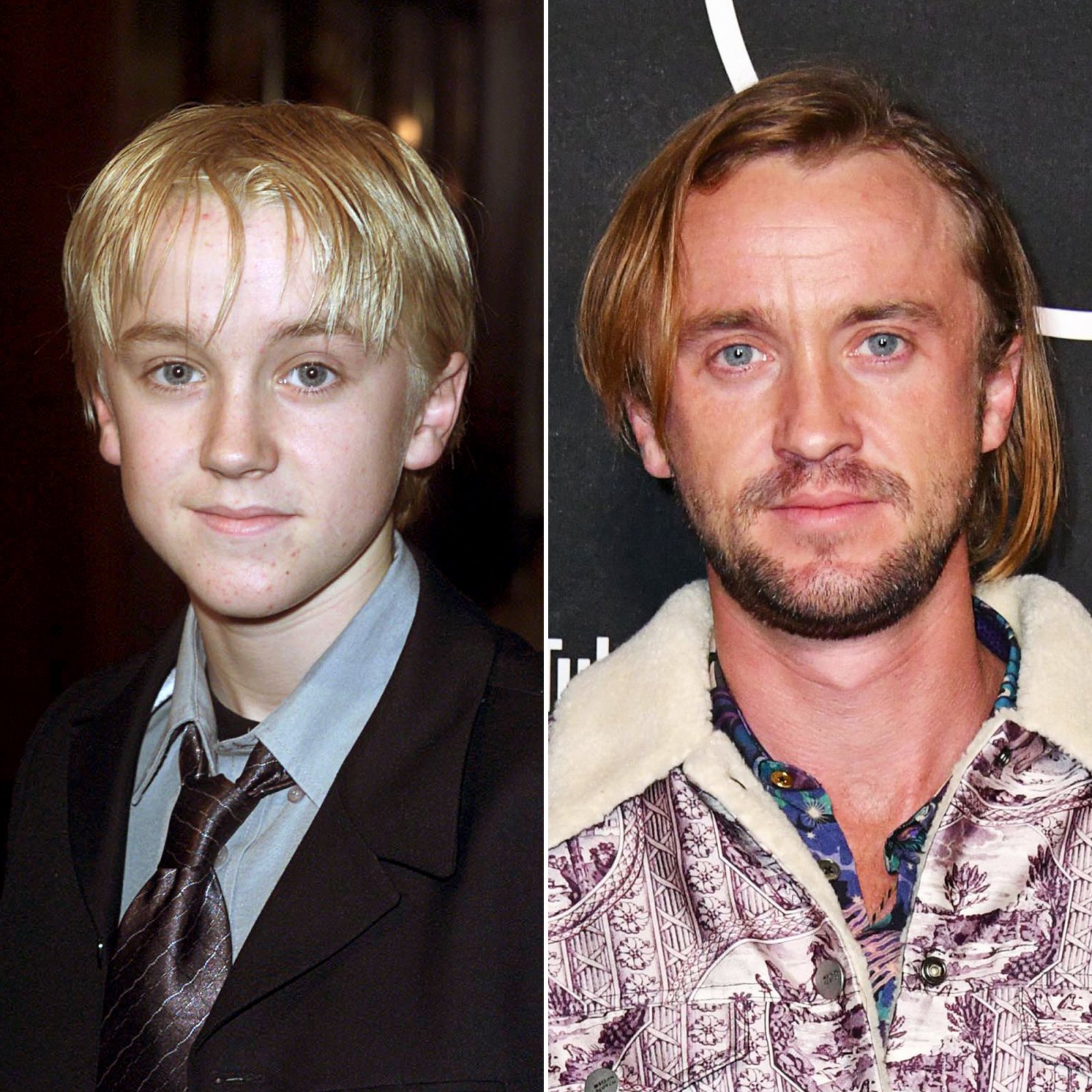 'Harry Potter' Stars: Where Are They Now?