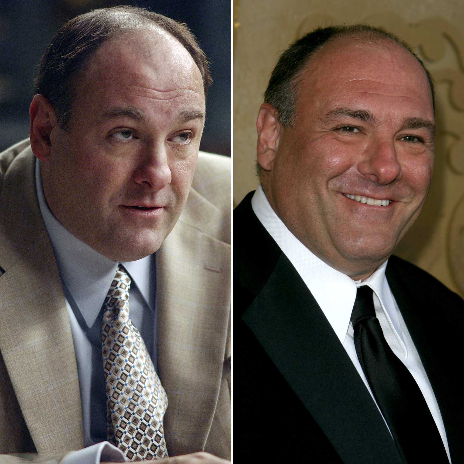 ‘The Sopranos’ Cast Where Are They Now? Photos Us Weekly