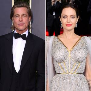 Jillian Armenante Testify in Custody Trial Brad Pitt Angelina Jolie