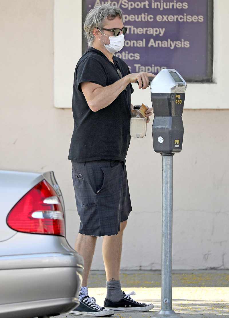 Joaquin Phoenix pay meter