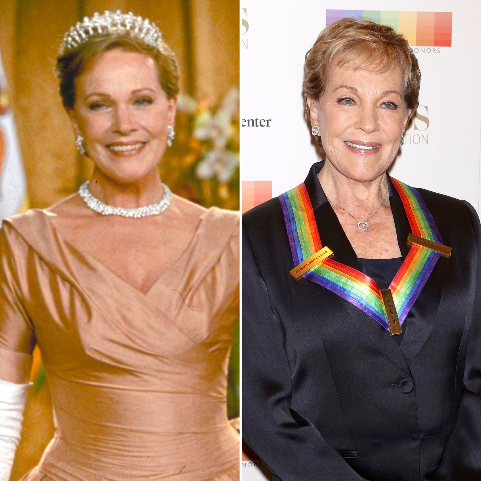 Julie Andrews The Princess Diaries Cast Where Are They Now