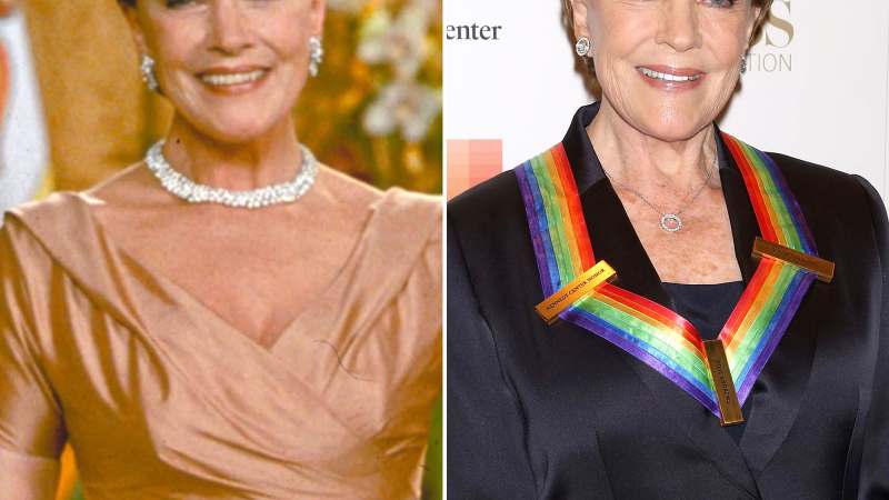 Julie Andrews The Princess Diaries Cast Where Are They Now