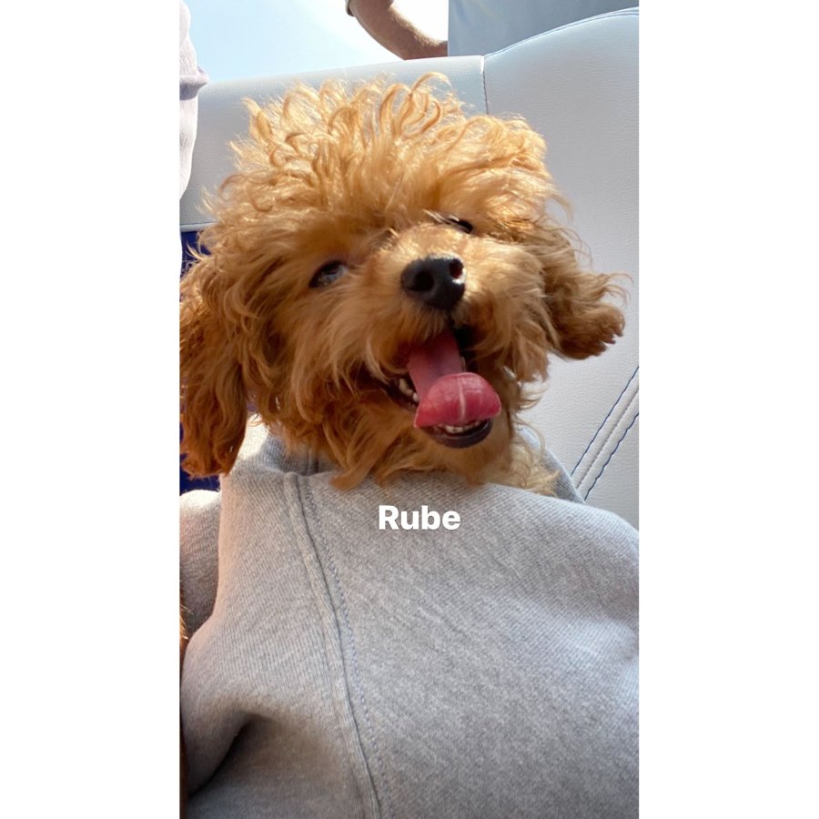 Kourtney Kardashian and Scott Disick Enjoy Boating Trip With Son Reign