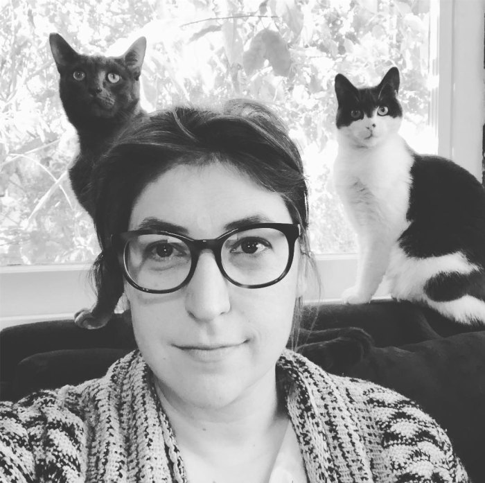 Mayim Bialik Details Quarantine Life With Her 3 Cats p 1