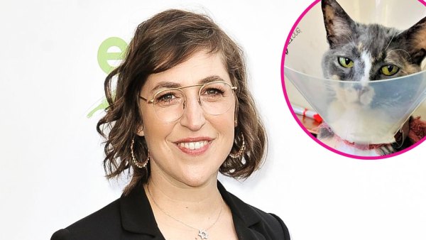 Mayim Bialik Details Quarantine Life With Her 3 Cats p