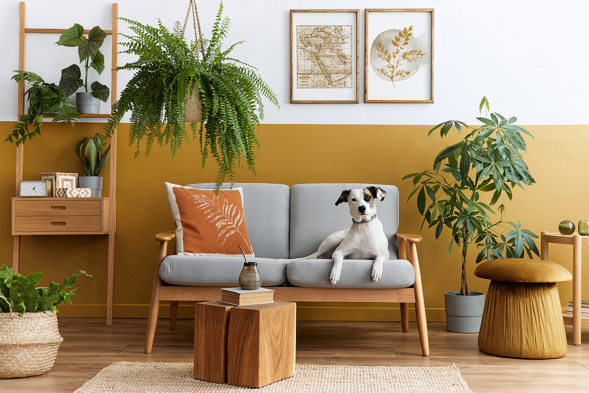 home-furniture-decor-way-day