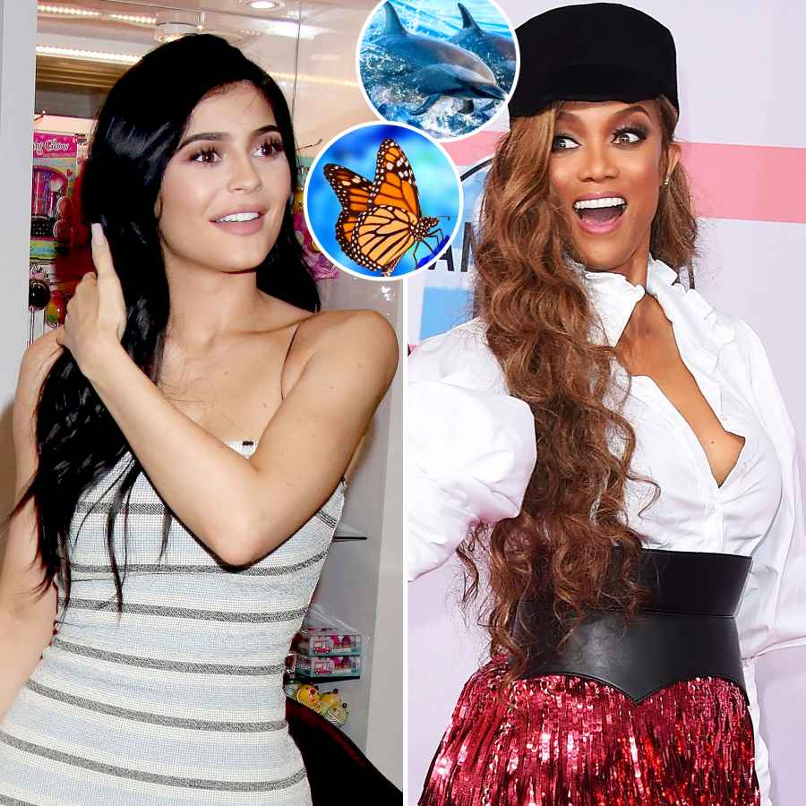 Celebrities Biggest Phobias Kylie Jenner Tyra Banks and More