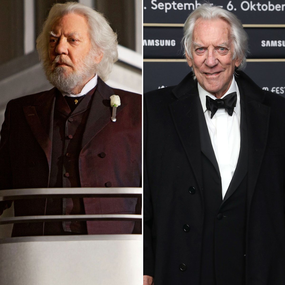 The Hunger Games' Cast: Where Are They Now?