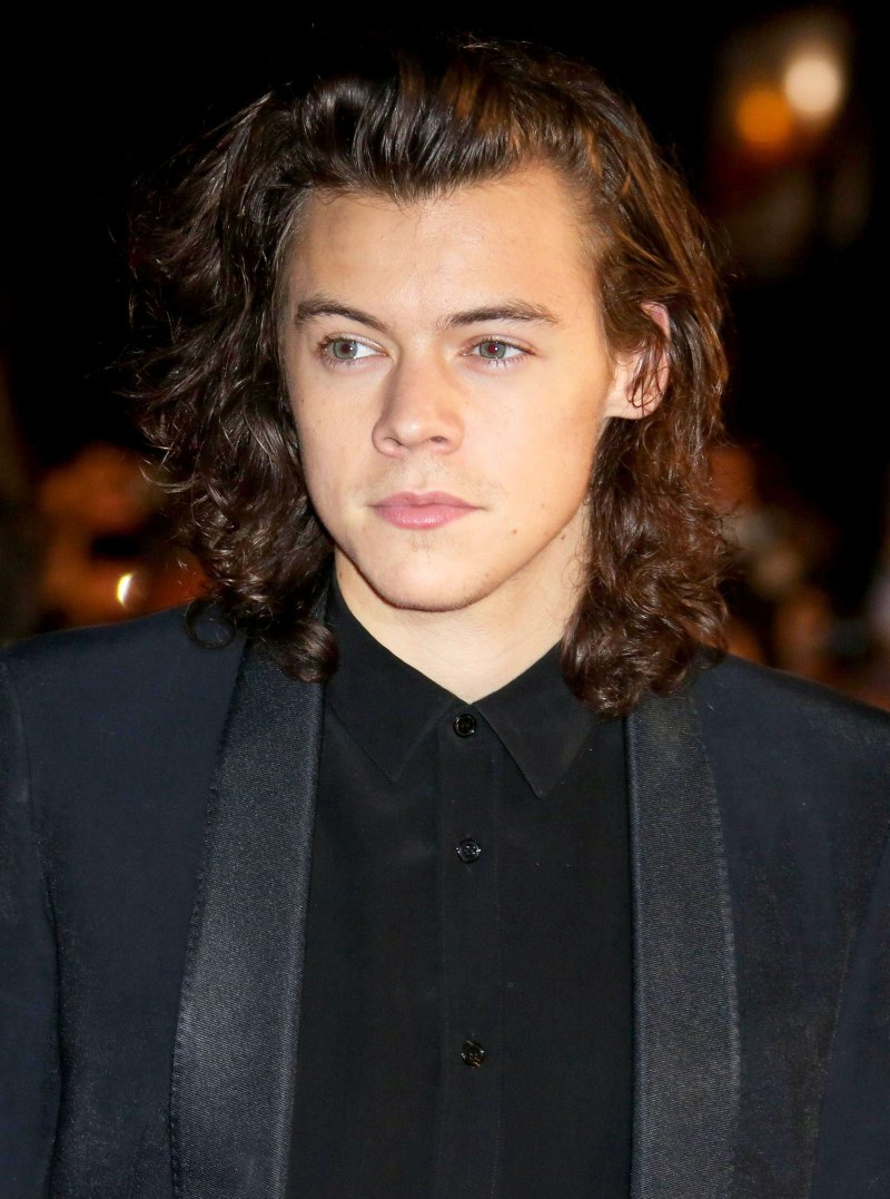 Harry Styles Hair Evolution Changing Hairstyles Pics