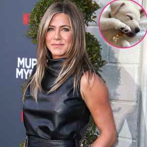 Jennifer Aniston Introduces New Rescue Puppy Lord Chesterfield: 'He Stole My Heart'