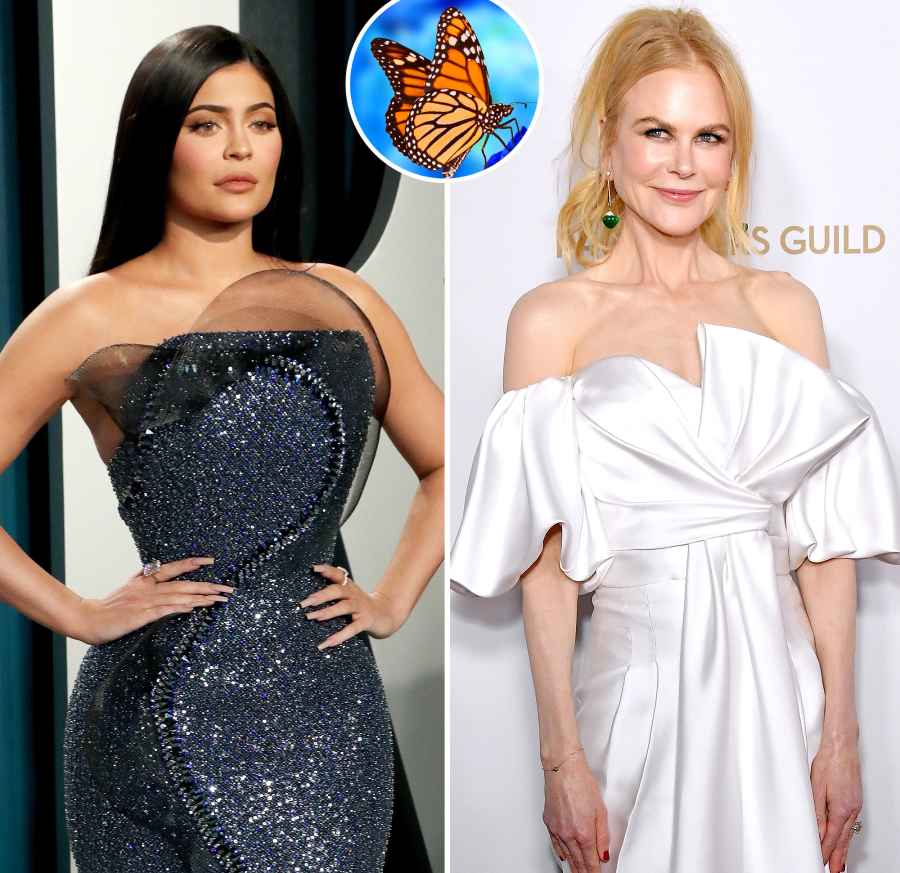 Kylie Jenner Nicole Kidman butterflies phobia