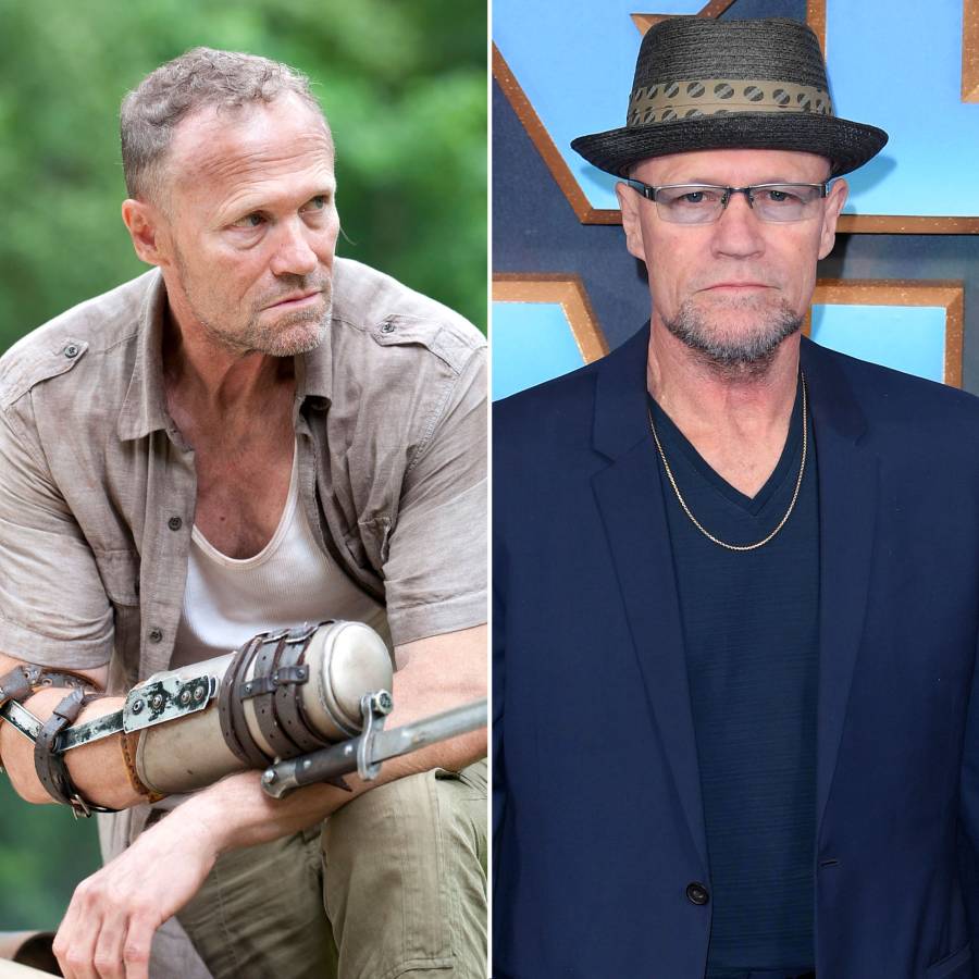 Michael Rooker Stars Who Left The Walking Dead