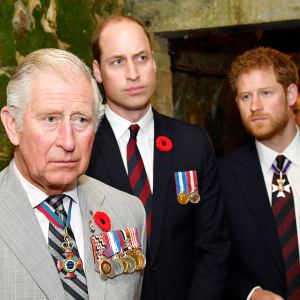 Prince Charles Might Help Prince William, Prince Harry Reconcile
