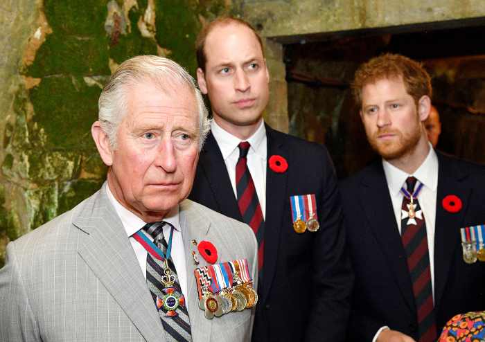 Prince Charles Might Help Prince William, Prince Harry Reconcile