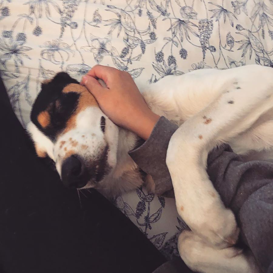 Reese Witherspoon's Daughter Ava Phillippe Introduces New Pup Benji After Mourning Family Dog Pepper: So 'Bittersweet'