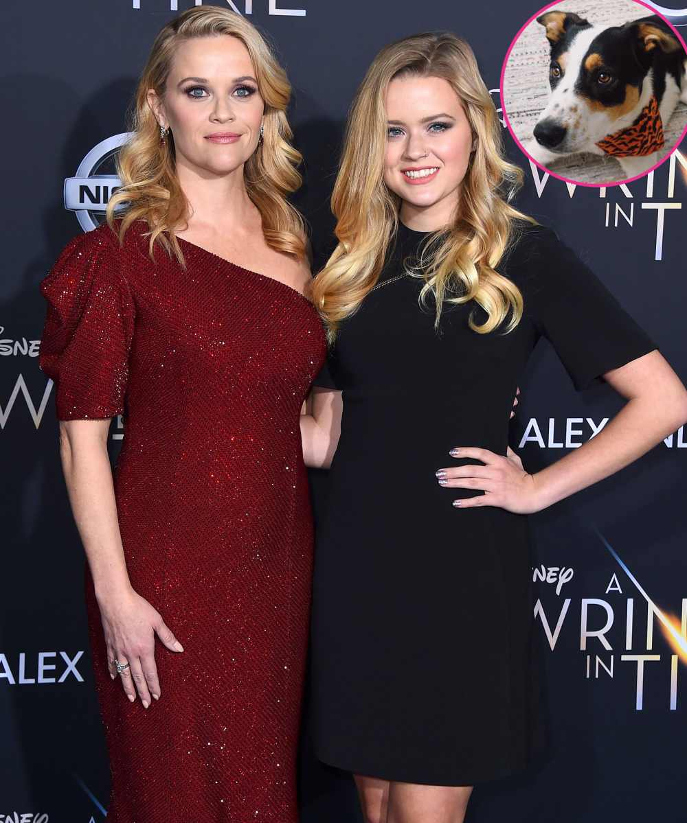 Reese Witherspoon's Daughter Ava Phillippe Introduces New Pup Benji After Mourning Family Dog Pepper: So 'Bittersweet'
