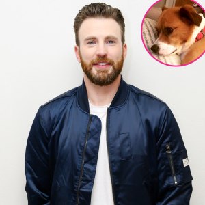 Shirtless Chris Evans Cuddles Bed With His Pup Dodger