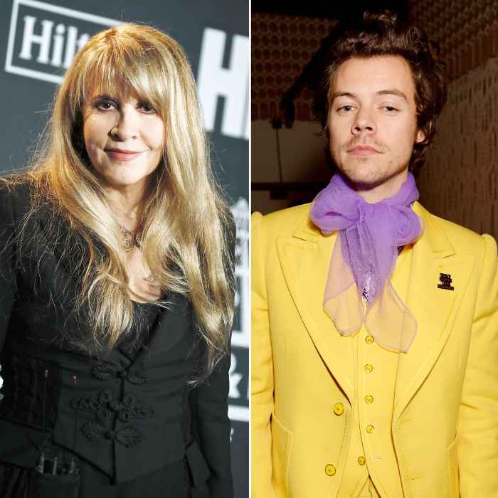 Stevie Nicks Reveals Whether an Older Harry Styles Would Be Her Type