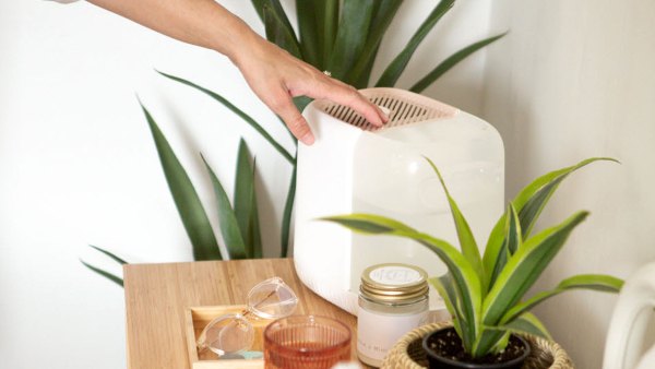 Win Ultimate At-Home Wellness Kit