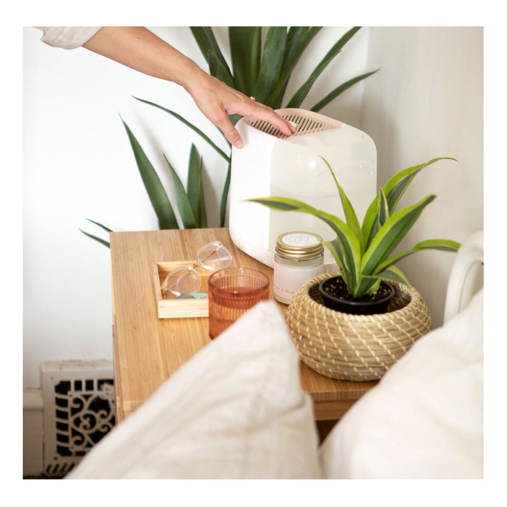 Win Ultimate At-Home Wellness Kit