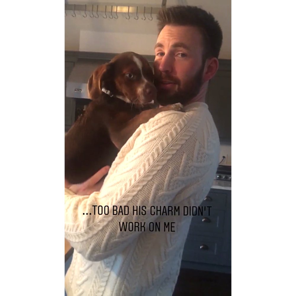 Chris Evans Cuddles a Puppy in Iconic 'Knives Out' Sweater That Went Viral