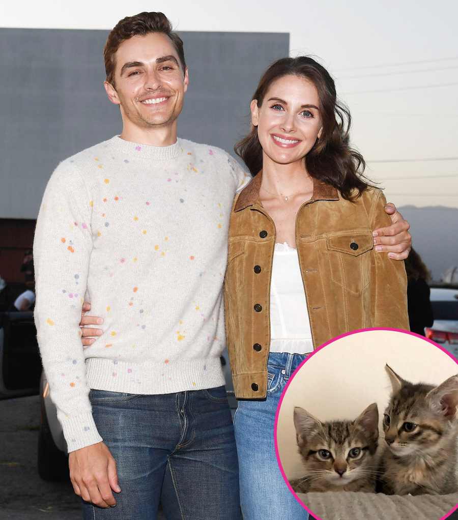 Stars Who Are Adopting Fostering Pets During Quarantine Alison Brie Dave Franco