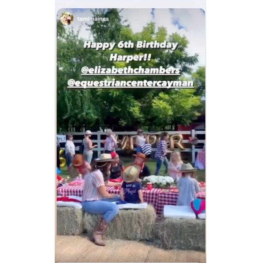 Elizabeth Chambers Defends Throwing Daughter Harper 6th Birthday Party Amid Pandemic