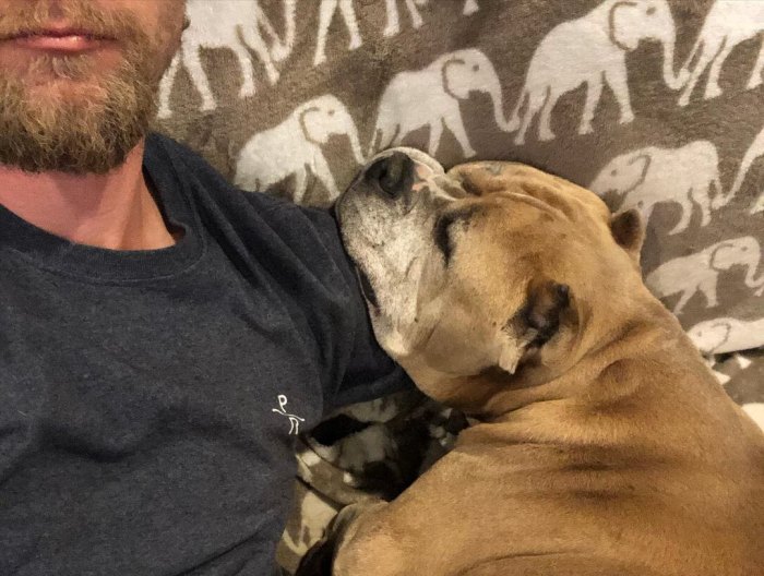 Kaley Cuoco Husband Karl Cook Mourn Death Their Rescue Dog Petunia