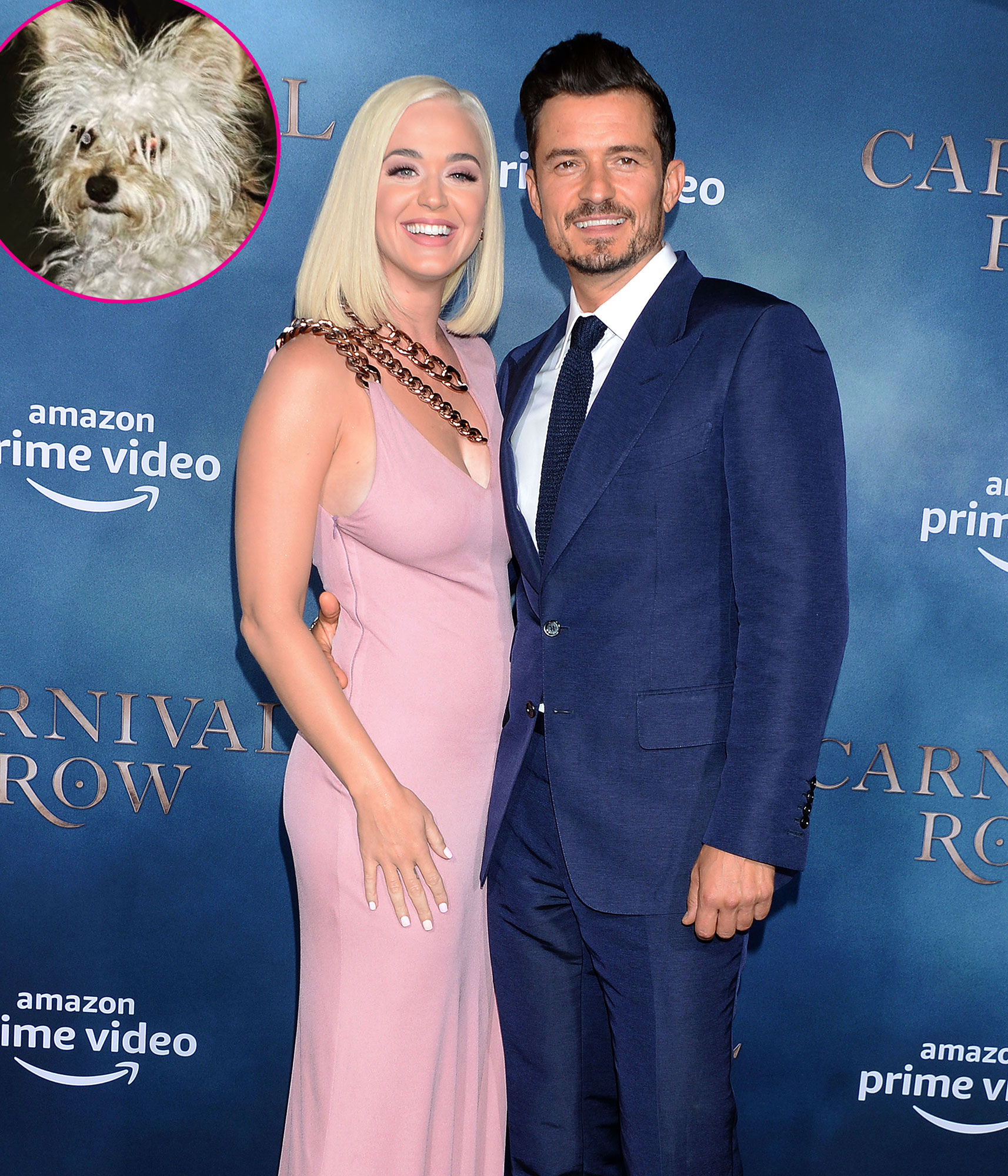 Katy Perry and Orlando Bloom Foster a New Puppy Buddy