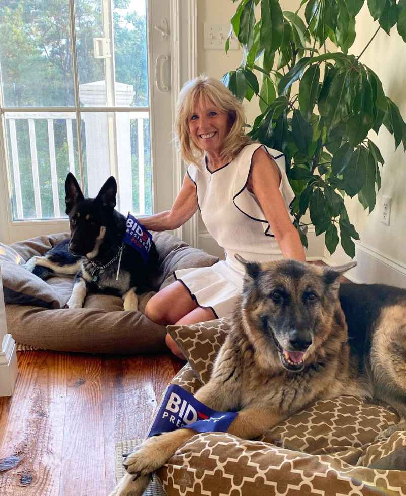 Major and Champ (Biden) Pets White House Through Years Dr. Jill Biden