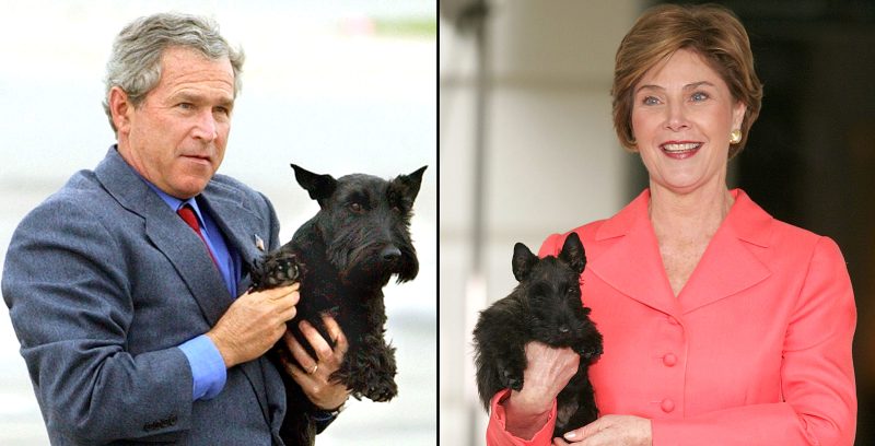 Pets White House Through Years George W. Bush
